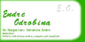 endre odrobina business card